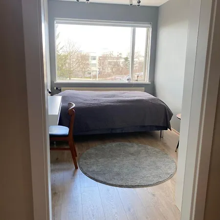 Bright And Spacious 2 Bedroom In Rvk