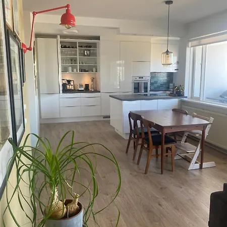 Bright And Spacious 2 Bedroom In Rvk Apartment